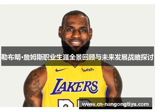 勒布朗·詹姆斯职业生涯全景回顾与未来发展战略探讨