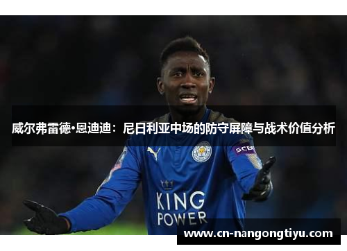 威尔弗雷德·恩迪迪：尼日利亚中场的防守屏障与战术价值分析