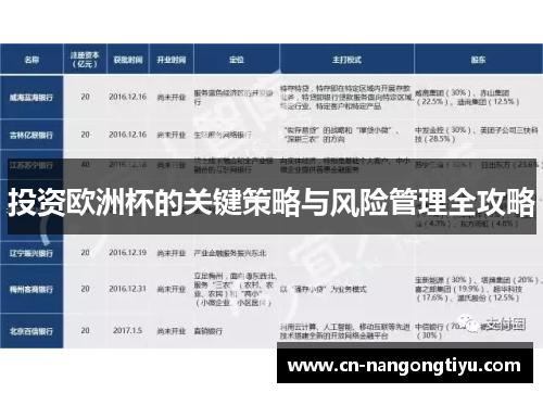 投资欧洲杯的关键策略与风险管理全攻略