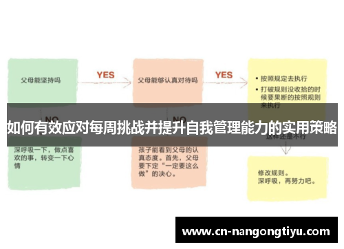 如何有效应对每周挑战并提升自我管理能力的实用策略