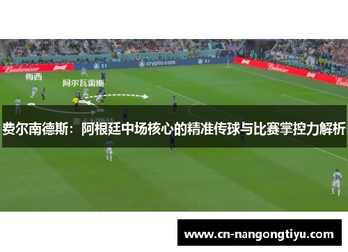 费尔南德斯：阿根廷中场核心的精准传球与比赛掌控力解析