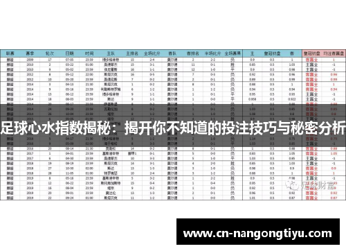 足球心水指数揭秘：揭开你不知道的投注技巧与秘密分析